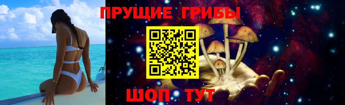 Псилоцибиновые грибы Magic Shrooms Качканар